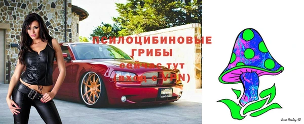амф Волосово