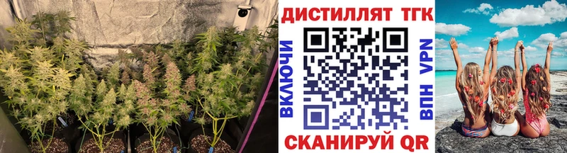 MEGA сайт  Рубцовск  Дистиллят ТГК концентрат 