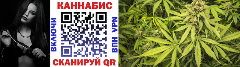 Каннабис планчик Рубцовск